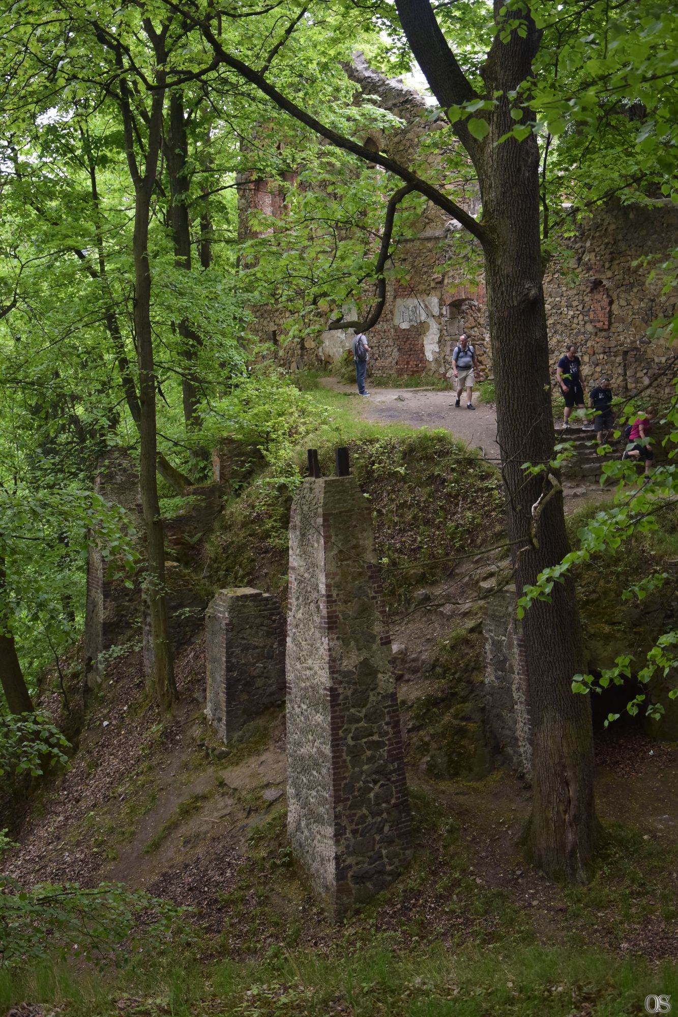 Sciezka Hochbergow 49.jpg